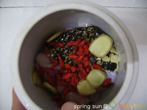 鳄鱼肉煲汤治咳嗽的做法-鳄鱼肉煲汤治咳嗽治哮喘怎么煮3