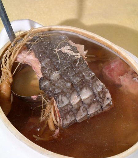 鳄鱼肉煲汤治咳嗽的做法-鳄鱼肉煲汤治咳嗽治哮喘怎么煮7
