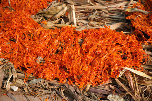 图解柿饼怎么晒-怎样晾柿饼的方法2