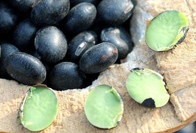 黑豆和黑芸豆一样吗？-图解黑芸豆和黑豆的区别2