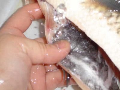 水煮鱼的鱼片怎么切-水煮鱼鱼片的切法1