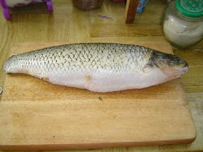 水煮鱼的鱼片怎么切-水煮鱼鱼片的切法2