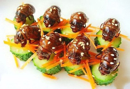 小知了能吃吗-知了怎么样吃最好3