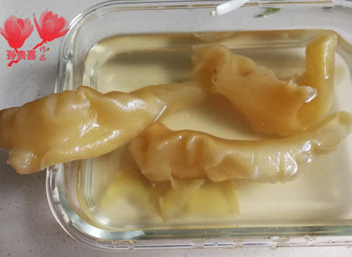 鱼肚怎么发-水发干鱼肚的方法图解7