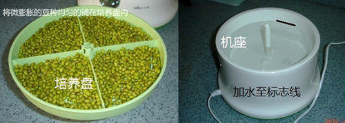 图文教程：家庭发豆芽菜机如何发豆芽3