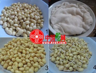 图文讲解：家中怎么发豆芽快速生芽的方法大全1