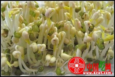 图文讲解：家中怎么发豆芽快速生芽的方法大全4