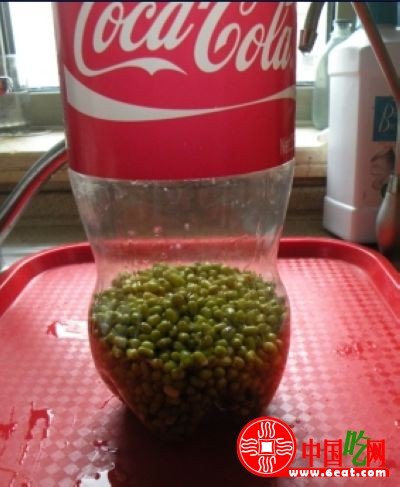 图文讲解：家中怎么发豆芽快速生芽的方法大全5