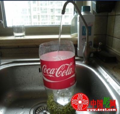 图文讲解：家中怎么发豆芽快速生芽的方法大全7