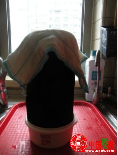 图文讲解：家中怎么发豆芽快速生芽的方法大全8