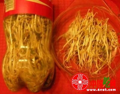 图文讲解：家中怎么发豆芽快速生芽的方法大全9