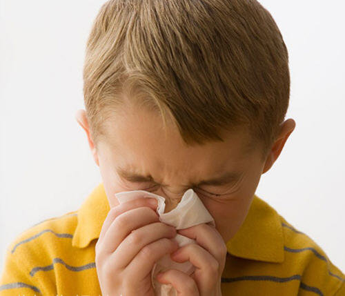 过敏性鼻炎吃什么菜好-平时吃什么菜对过敏性鼻炎有好处2