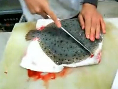 多宝鱼怎么杀-图解快速杀多宝鱼的方法1