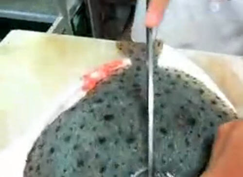 多宝鱼怎么杀-图解快速杀多宝鱼的方法2