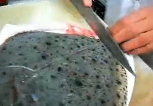 多宝鱼怎么杀-图解快速杀多宝鱼的方法3