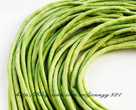 酸豆角腌制图解11