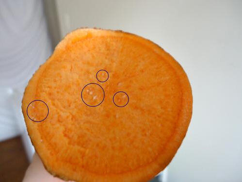 红薯发芽了还能吃吗？去掉芽可以食用2