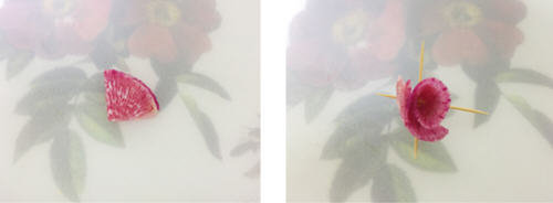 整合6种家常蔬菜摆盘花样图切法12