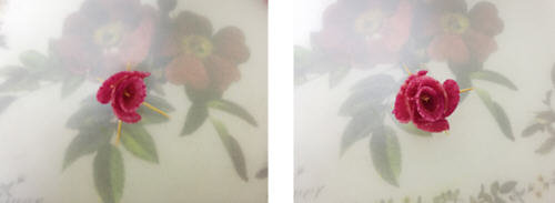 整合6种家常蔬菜摆盘花样图切法13