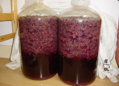 注意：自制葡萄酒的危害和避免方法2