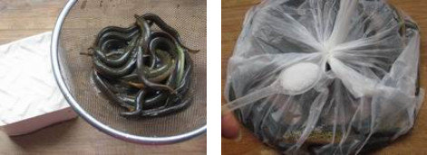 泥鳅怎么杀-图解小泥鳅最简单的宰杀方法1