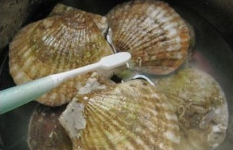 扇贝怎么洗干净-图解扇贝的清洗方法1