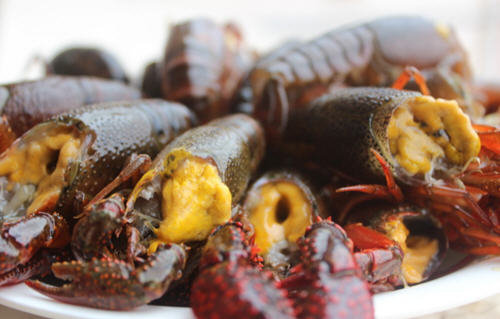 小龙虾的虾黄能吃吗-小龙虾的虾黄是什么1