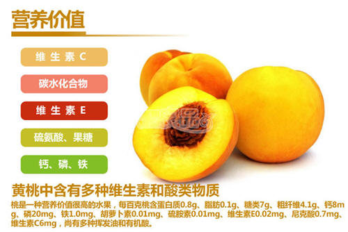 黄桃的营养价值以及营养含量表1