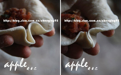 包包子的手法分解图-（完整版）包包子的手法步骤图2