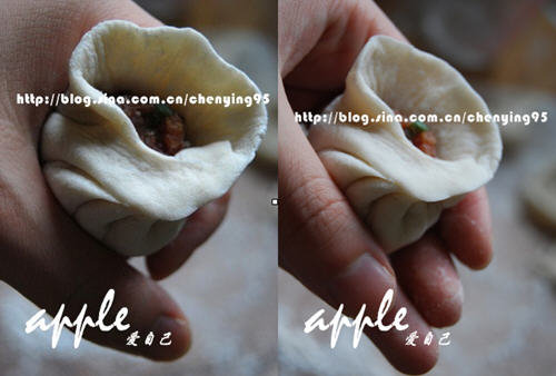 包包子的手法分解图-（完整版）包包子的手法步骤图4