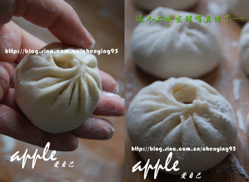 包包子的手法分解图-（完整版）包包子的手法步骤图5