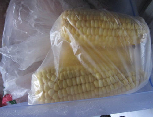 图解新鲜玉米怎么保存方法-嫩玉米怎么保存更长久4