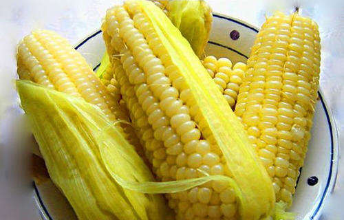 图解新鲜玉米怎么保存方法-嫩玉米怎么保存更长久6