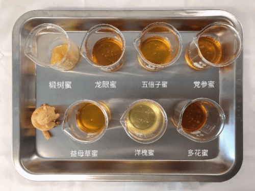 所有蜂蜜都一个味儿？汪氏蜂蜜不同蜜种口味大测评！7