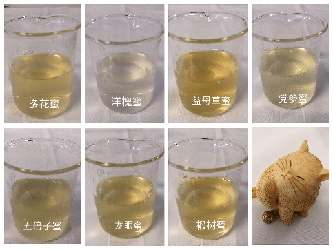 所有蜂蜜都一个味儿？汪氏蜂蜜不同蜜种口味大测评！9