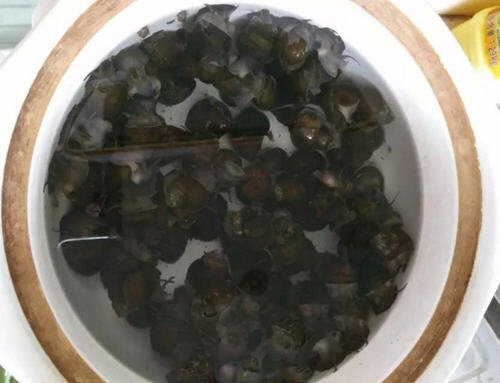 图解田螺怎么洗的才干净的两种方法1