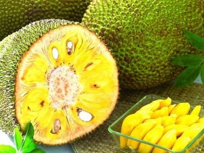 菠萝蜜怎么吃-图解菠萝蜜的正确吃法1