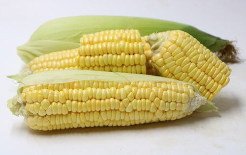 一根水果玉米的热量是多少-水果玉米热量高吗?1