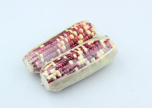 一根水果玉米的热量是多少-水果玉米热量高吗?2