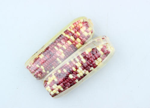 一根水果玉米的热量是多少-水果玉米热量高吗?3