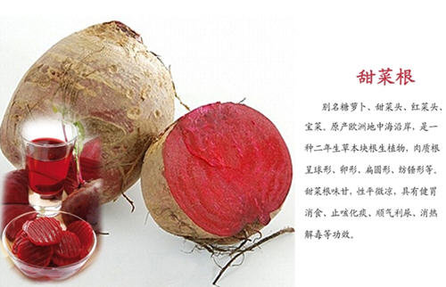 甜菜根的食用禁忌-甜菜根的副作用和危害1