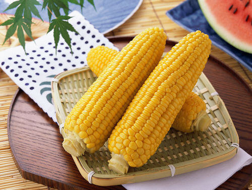 熟玉米怎么保存-煮熟玉米保存多久1