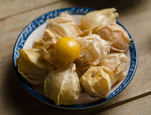 灯笼果与姑娘果的区别3