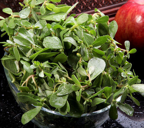 养心菜不适合什么人吃-养心菜有副作用吗1