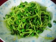 清炒绿豆苗9