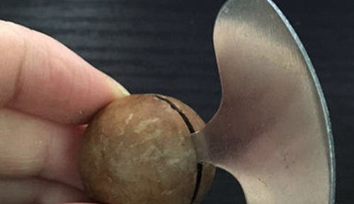 图解没有开果器怎么打开夏威夷果的开壳方法3