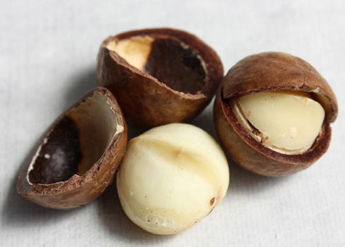 图解没有开果器怎么打开夏威夷果的开壳方法5