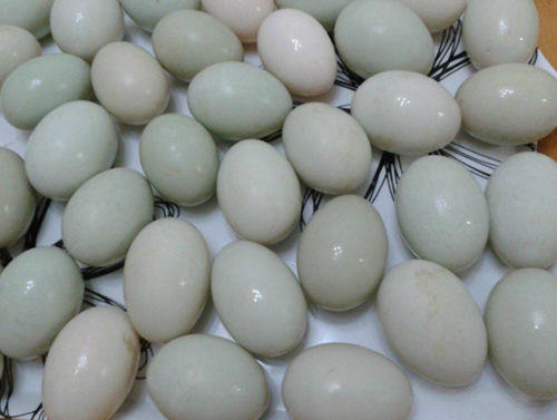 土方法自制皮蛋1