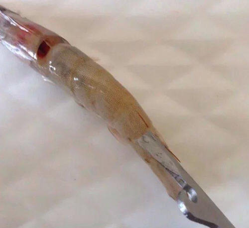 开背虾怎么开背漂亮-图解给虾开背的正确方法3