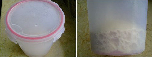 老面馒头(传承千年的手法)9